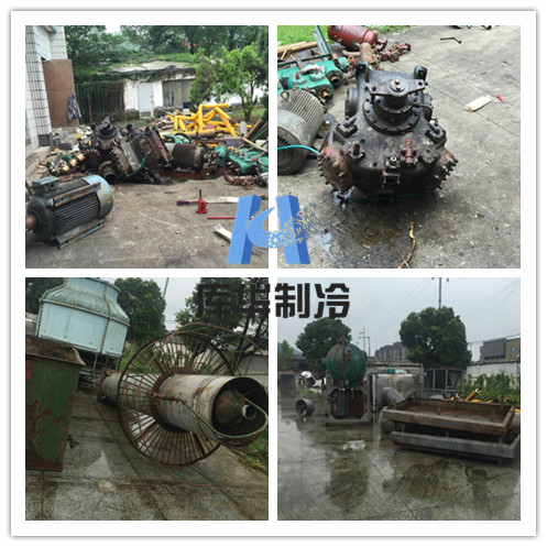 醫(yī)藥冷庫(kù)原氨系統(tǒng)拆除圓滿(mǎn)完成-庫(kù)華制冷